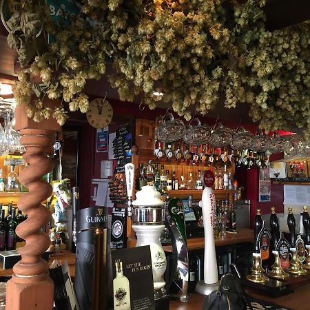 Tiger Inn Bridport Dış mekan fotoğraf