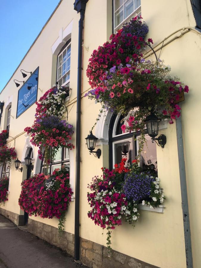 Tiger Inn Bridport Dış mekan fotoğraf