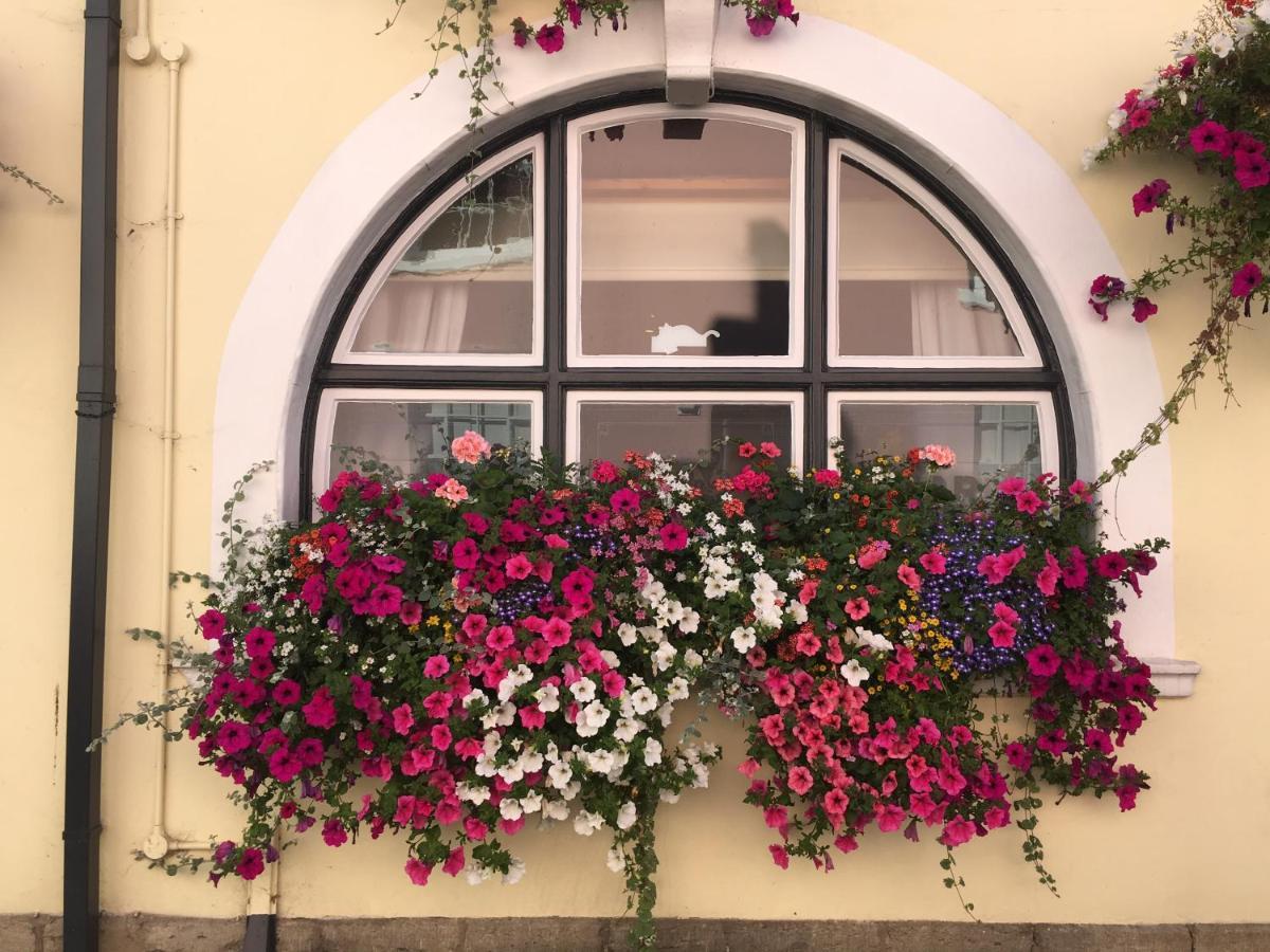 Tiger Inn Bridport Dış mekan fotoğraf